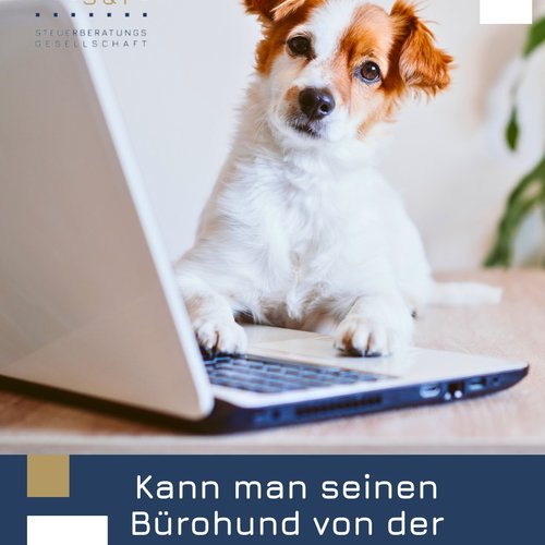 Ja, aber nur in ganz bestimmten Fällen!
Ein Hund kann steuerlich geltend gemacht werden, wenn er beruflich genutzt wird,...